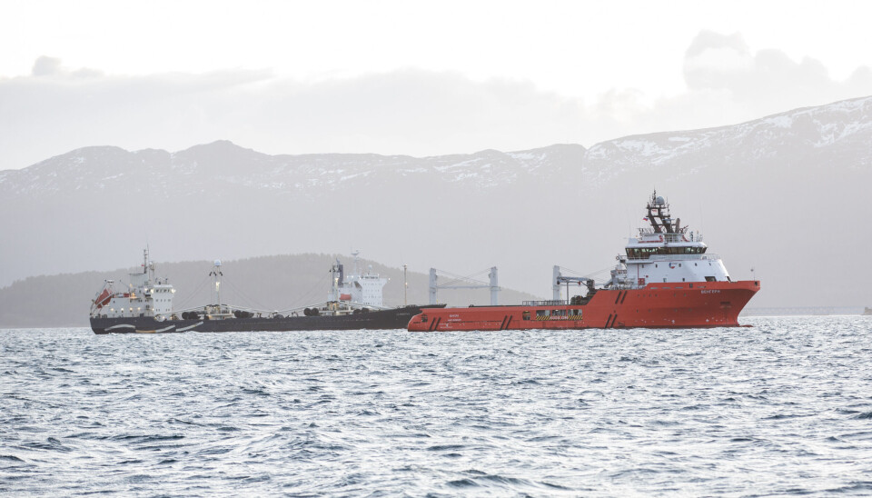 F.v.: Belomorye (RU) og slepebåten Vengery (RU), ved anker på Freifjorden. Bak ligger et bulkskip som ikke er knyttet til saken.