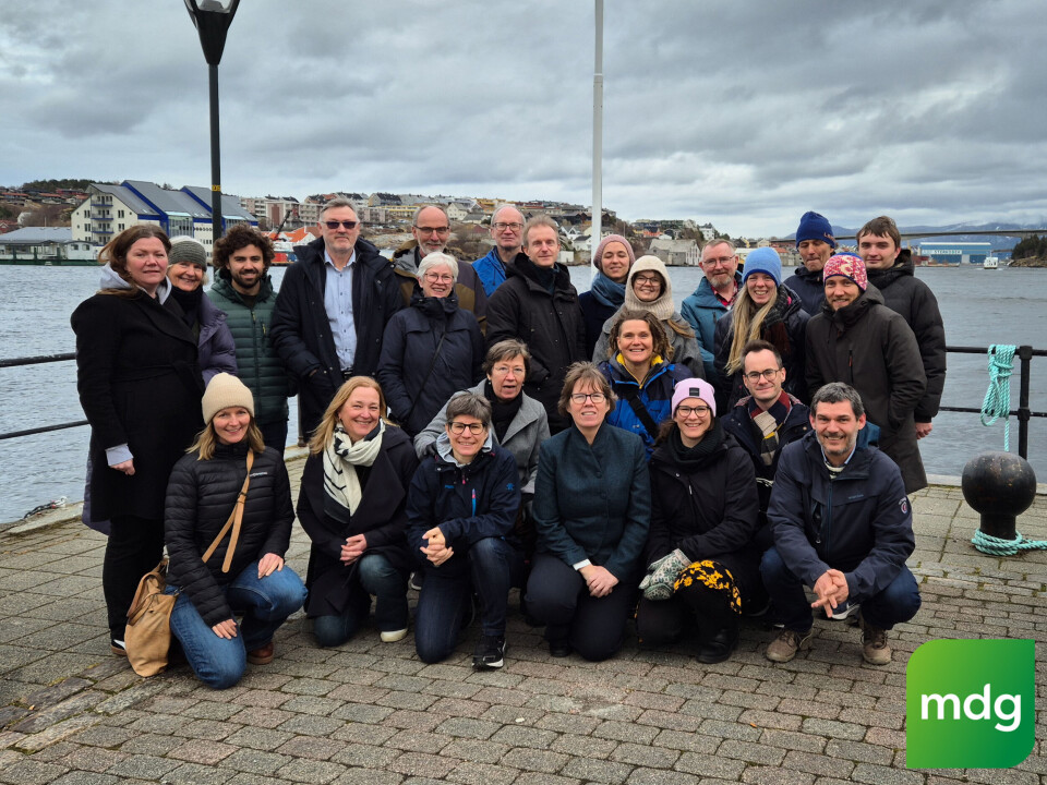 Hele MDG-gjengen samlet til årsmøte lørdag 1. mars og søndag 2. mars i Kristiansund.