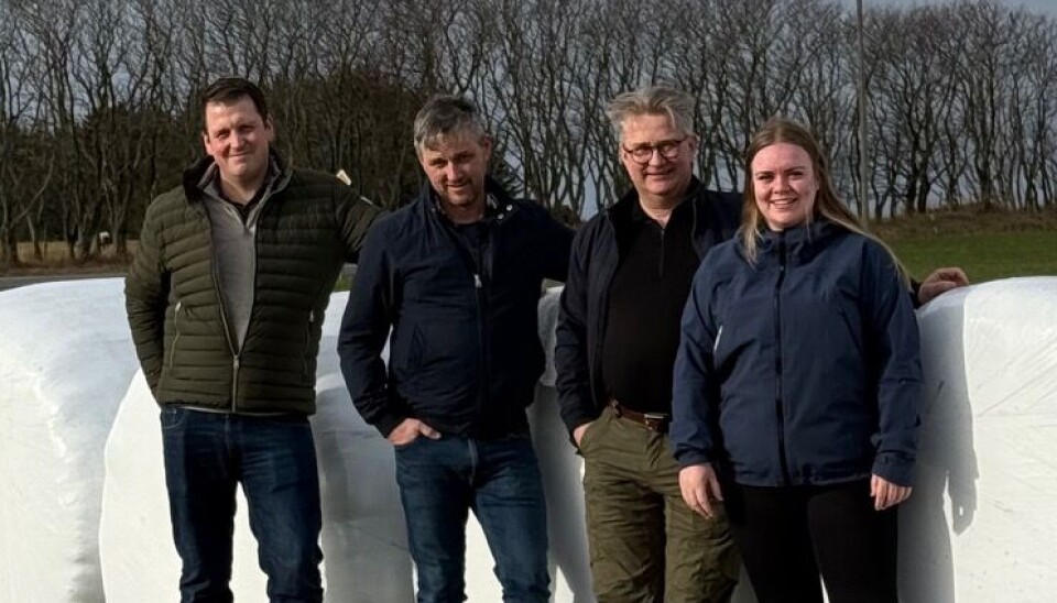 F.v.: Senterparti-politikere fra Smøla: Njål Botten Gjøstøl (leder for teknisk hovedutvalg), Sigmund Roksvåg (varaordfører), Svein Roksvåg (ordfører) og Tiril Marie Kuløy Næss (kommunestyre-representant).