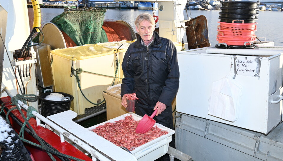 Oddmund Langholm ombord i M/S Langholm med ferske reker.