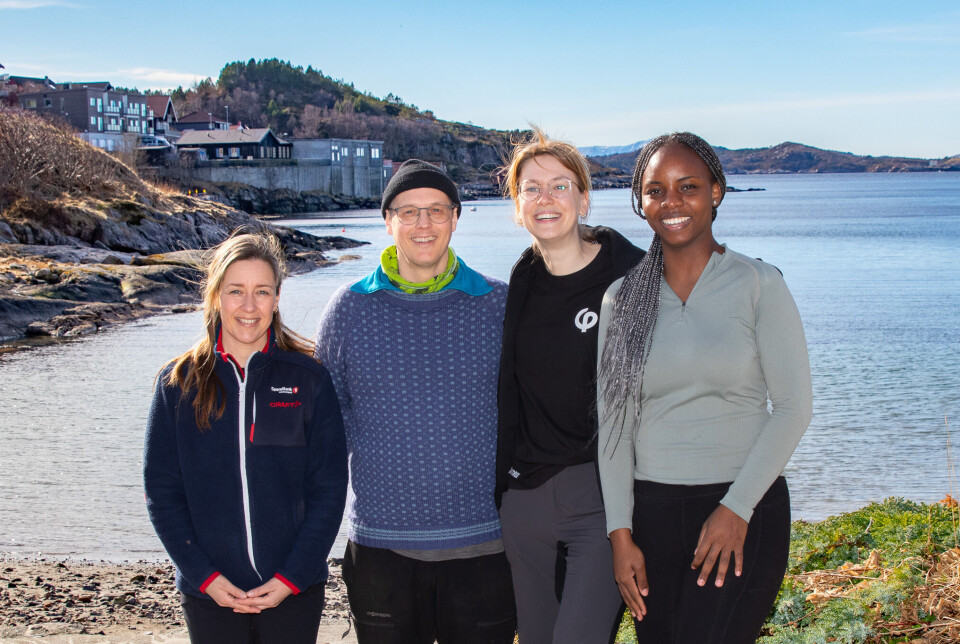 Fv. Rita Pedersen (48), Bjarte Bye Løfaldli (45), Mo Zijlmans (26), Rosemary Aghedo (23) fra Kristiansund