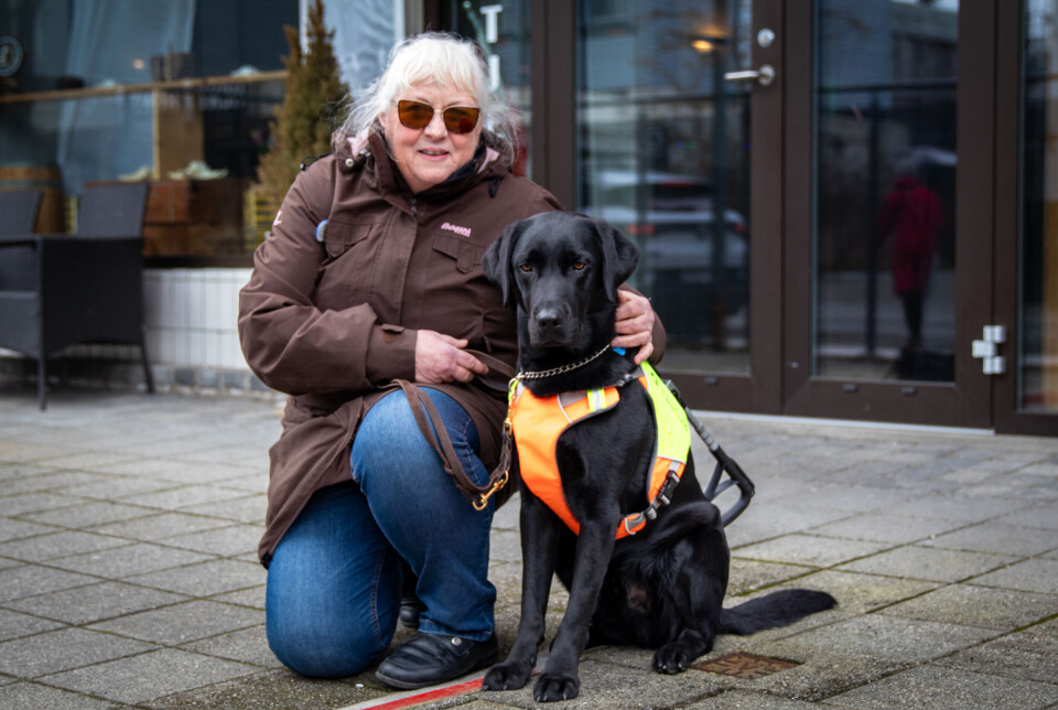 Tordis Næss (68) fra Smøla med førerhunden sin Willy (2.år).