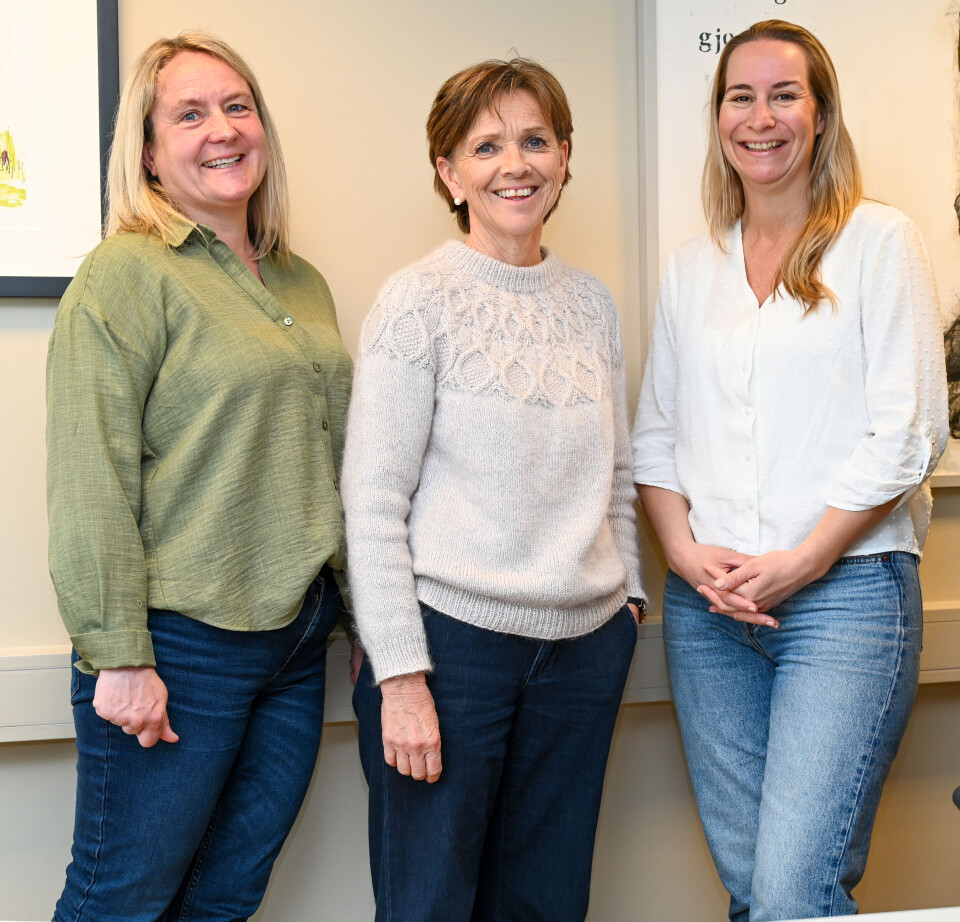 F.v.: Heidi Sæther (Eiendomsutvikler KBBL), Randi Kvisvik Hansen (kunderådgiver forvaltning og medlem, KBBL) og Lill-Marita Stensby (Kunderådgiver forvaltning KBBL).