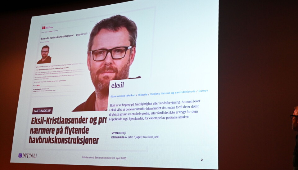 Litt harselas rundt begrepet eksil.
