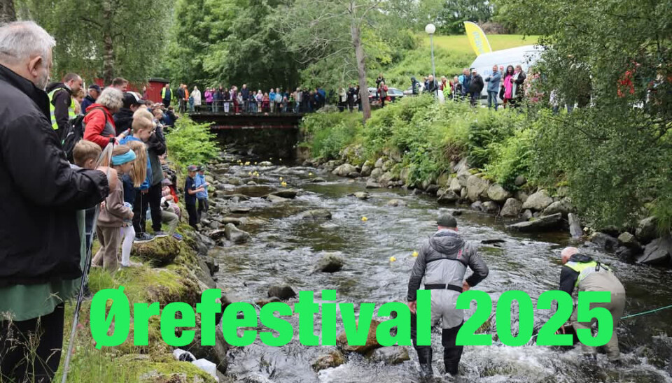 Ørefestival 2025