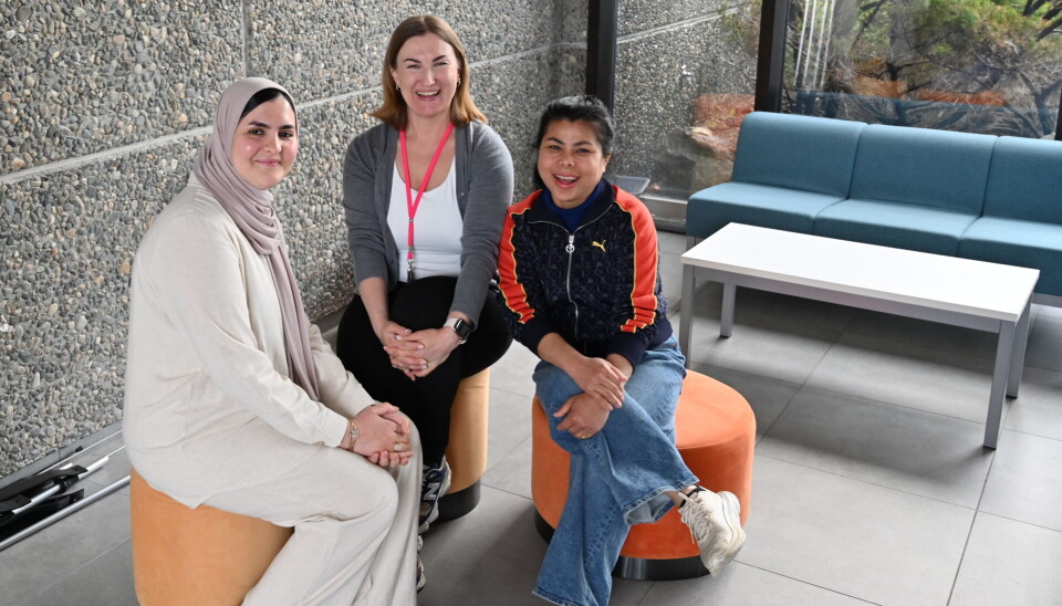 Hajar Jafjaf, Marta Lagowska og Nittaya Ingeborgvik.
