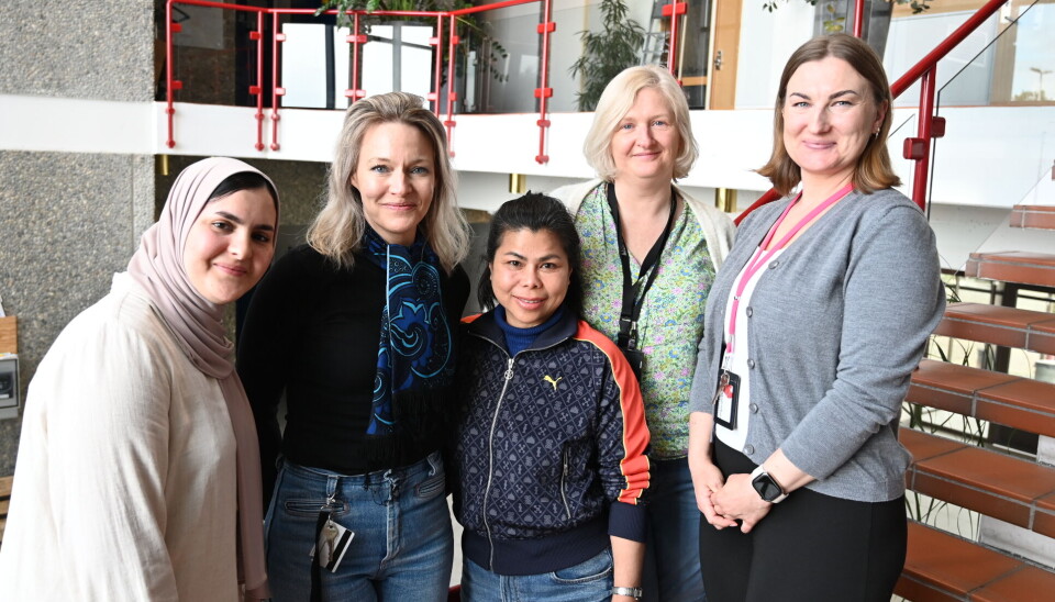 Engasjerte damer hos Jobbsjansen i Kristiansund. fra venstre: Hajar Jafjaf, Silje Kruse, Nittaya Ingeborgvik, Marit Wærstad og Marta Lagowska.