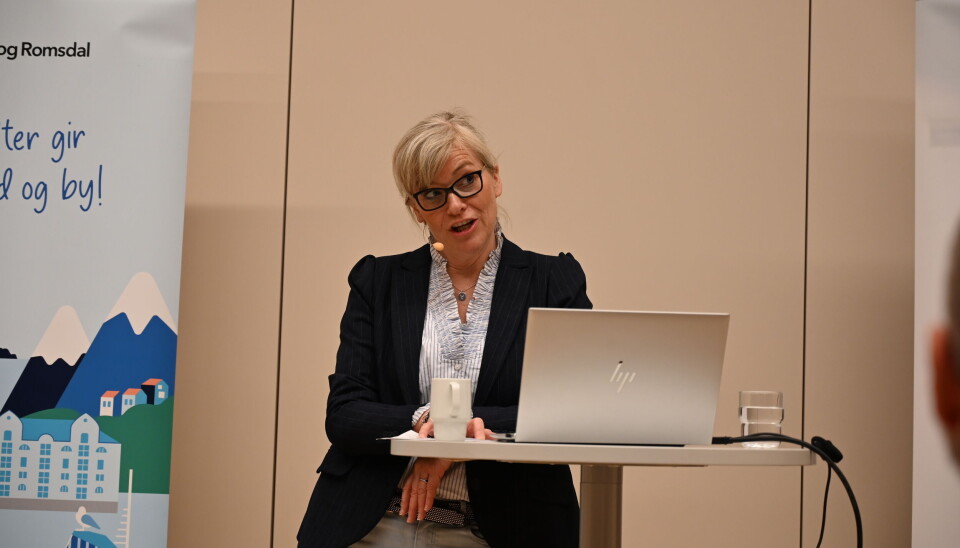 Lene Trude Solhein, regionsdirektør i NHO Møre og Romsdal.