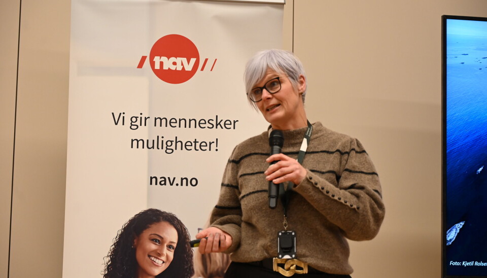 Synnøve Nes, KNN.
