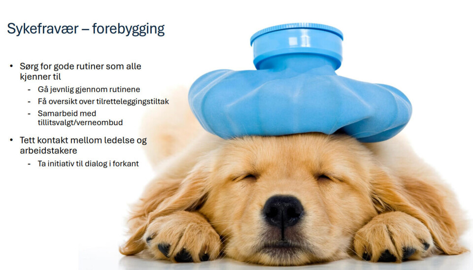 Forebygging er viktig.