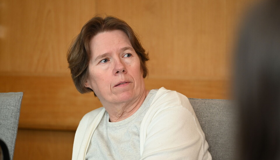 Gro Santi Johnsen (Miljøpartiet De Grønne).