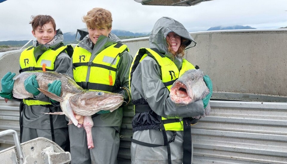 Klipp fra Averøy kommunes sine nettsider.