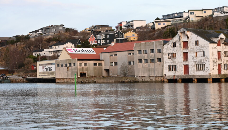 Et av tomtemulighetene. I sjøkanten på Goma.