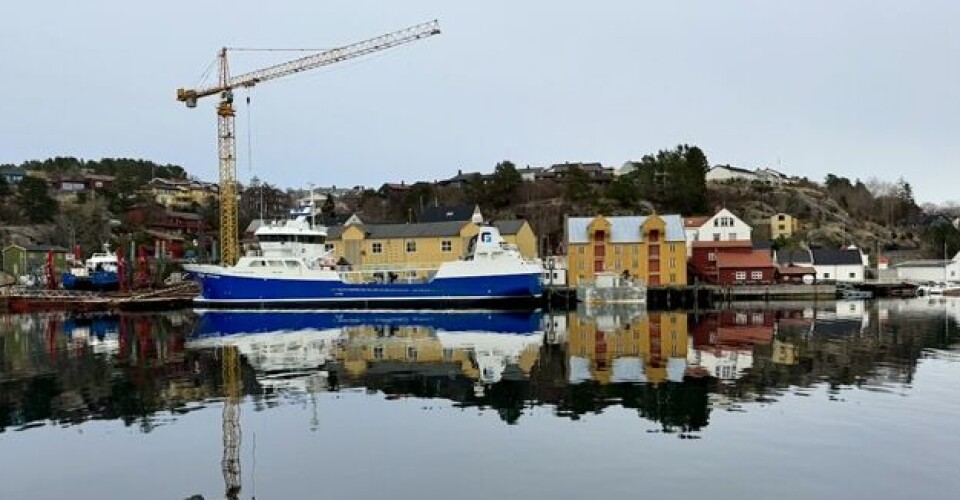Parti fra Vågen i Kristiansund.