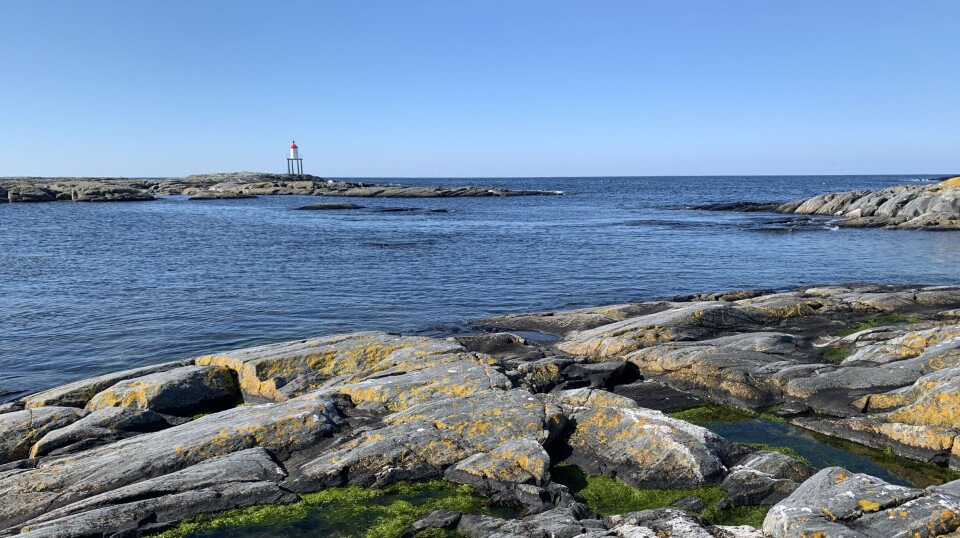 Område ved Sorvalin på Smøla.