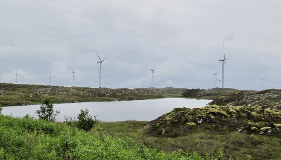 Vindparken på Smøla med våtmarksområdene i front.