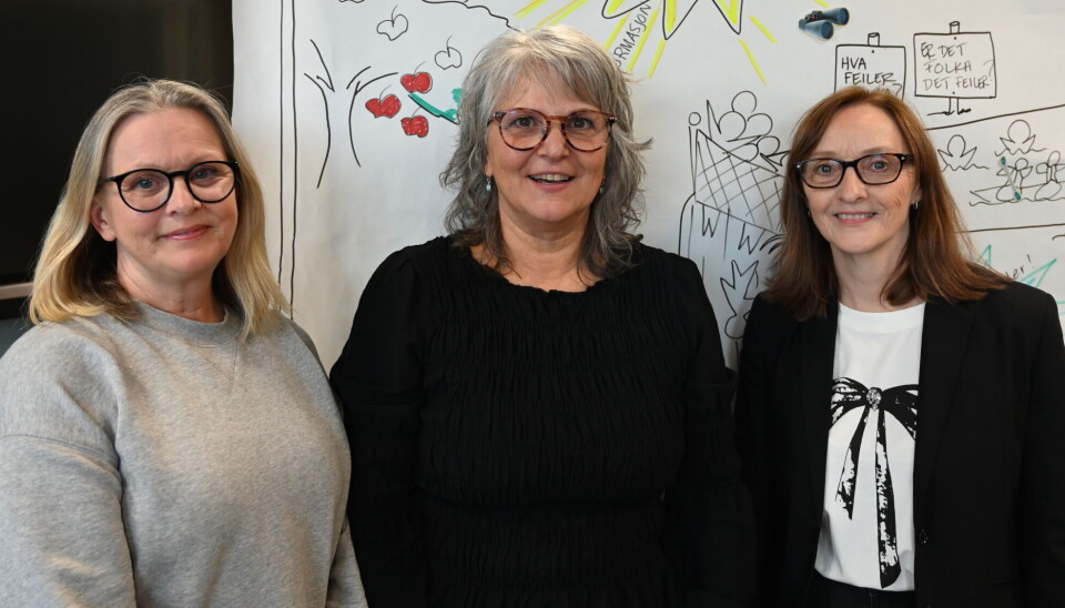 Fra venstre: Cathrine Pryser fra KNN, Susy Plonio og Dagmar Landstad fra NAV Arbeidslivsenter i Møre og Romsdal.