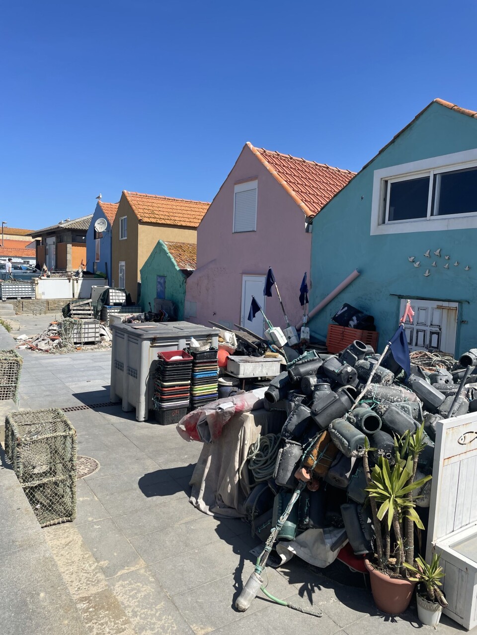 – Vi må skynde oss mens vi kan
