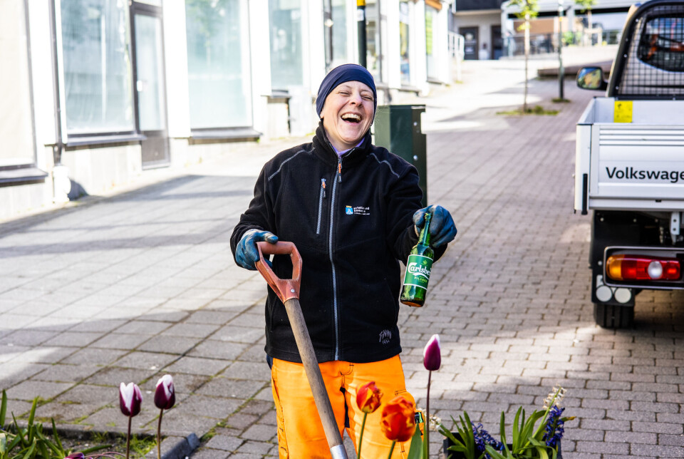 Solveig Skram konstituert driftsleder i Parkvesenet i Kristiansund finner mye rart når hun er ute for å klargjøre blomsterbedene.