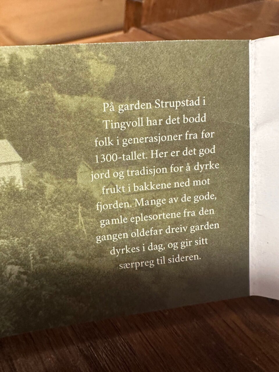 Informasjonsark om Strupstad på Vågbø. FOTO: PER HELGE PEDERSEN