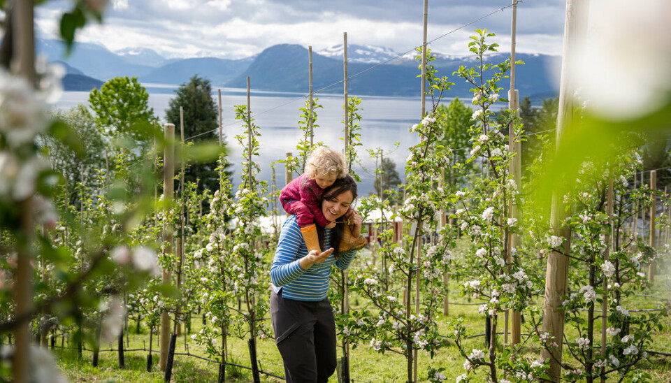 På garden Strupstad på Vågbø i Tingvoll dyrker Silje Osnes epler og driver Tingvoll Sider som hun startet i 2020. Her sammen med datteren Sigrid. FOTO: Eline Karlsdatter Flatseth/Visit Nordvest