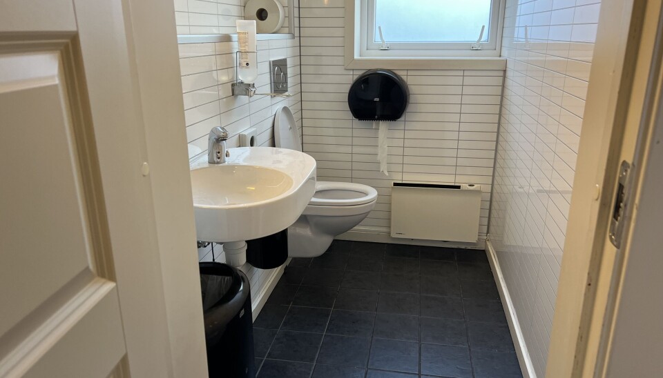 I love a clean toilet.