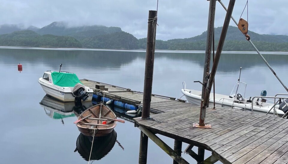 Fisketur. Hytteliv på Nordmøre. FOTO: PER HELGE PEDERSEN