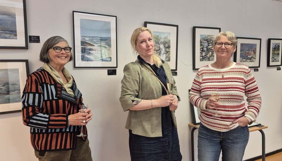 Fra venstre Hilda-Karin Aksdal Aas, Lena Iren Bullgård og Ingrid Grotli Strømsholm, alle fra Frei Maleklubb.