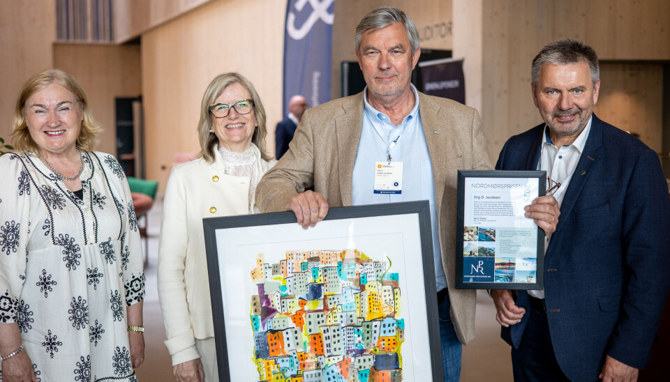 Fre venstre: Ingrid Ovidie Rangønes (IKS), Eli Birkelund Jacobsen, Stig O. Jacobsen og ordfører i Gjemnes, Knut Sjømæling, under markeringen.