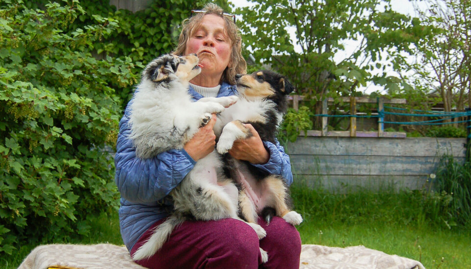 Anne Halsbog med to kjærlige valper.