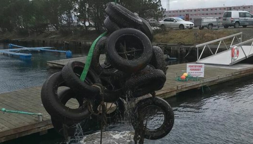 Refusjonsordningen for maritimt søppel.