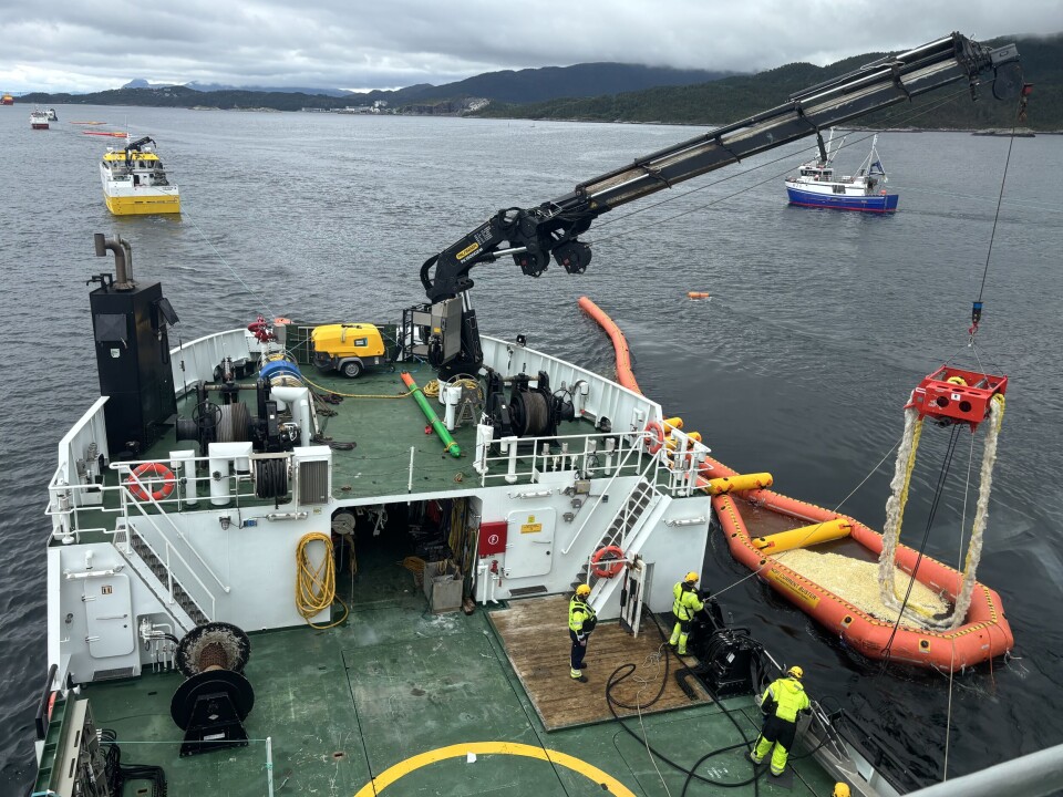 Oljeberedskapsøvelse på Bremsnesfjorden.