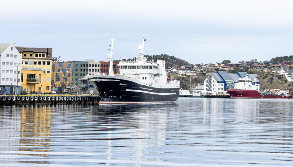 Kristiansund havn.