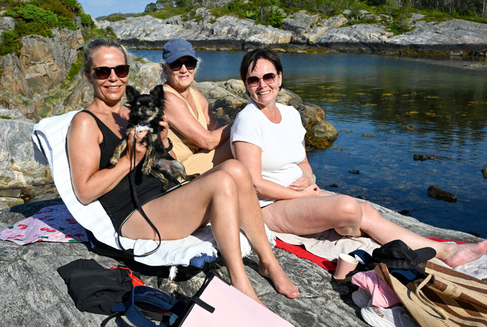 F.v.: Marianne Nerdal, hunden Sico (sju måneder), Ann-Birgit Hovde og Cecilie Dyrli koste seg på badeplassen Lasken i Kristiansund tirsdag 15. juli.