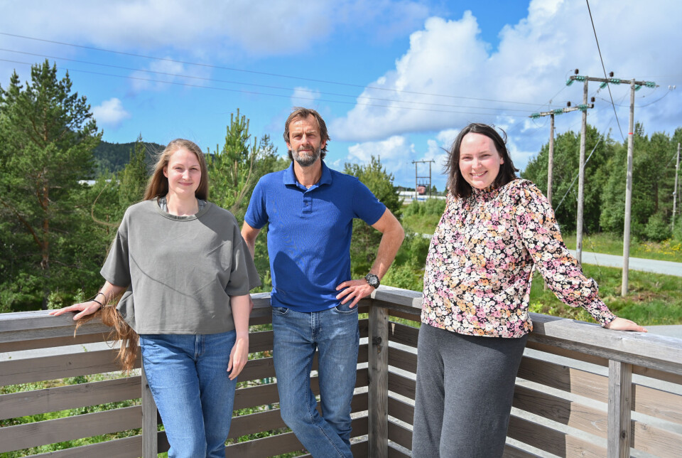 F.v.: Sanna Reisænen Løvik, Pål Ronny Løvik og arkitekt Kristin Blindheim i Tegneriet AS håper å få med seg en ny kollega på laget.