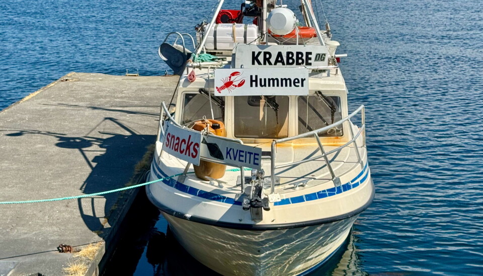 FISKERIPOLITIKK: Jarle Johansen kritiserer dagens fiskeripolitikk og manglende kontroll på svartfiske.