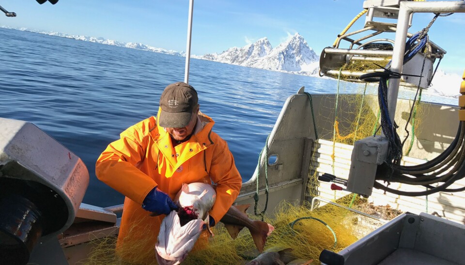 Leif Arve Vinje i Lofoten.