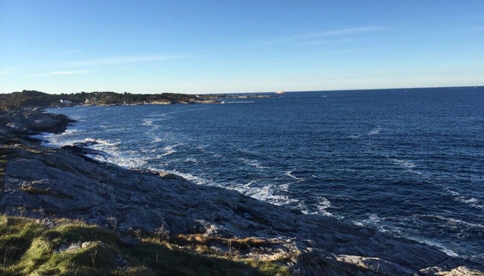 Området hvor oppdrettsanlegget er tenkt etablert. Fotografiet er tatt fra Stavneset.