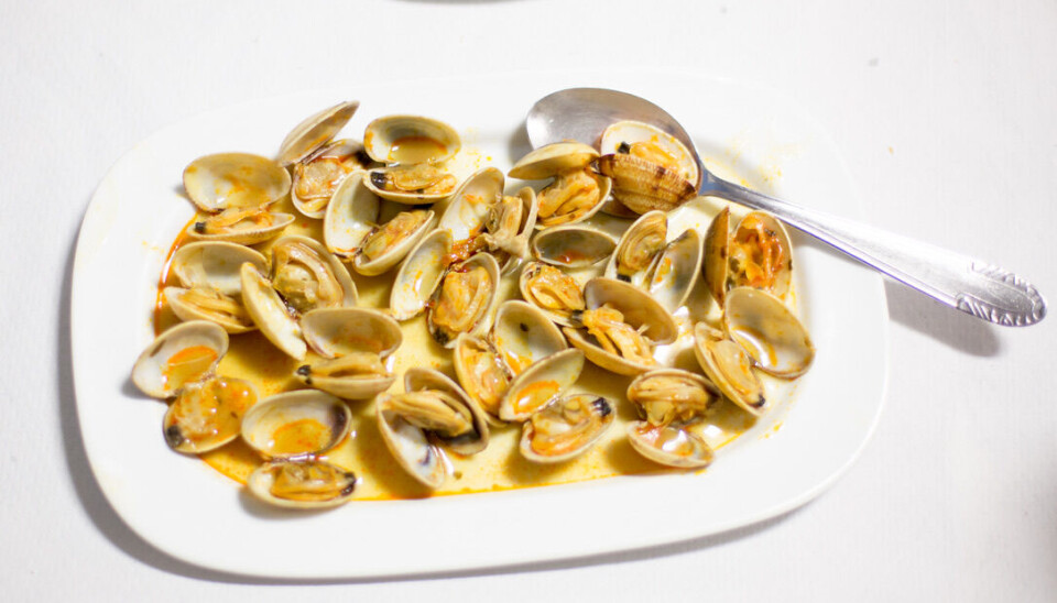 En tallerken med almeja japónica – de små skjellene som as mariscadoras sanker i ríaen ved Cambados.