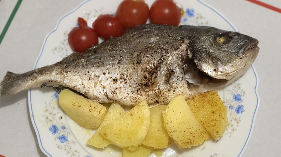 Ovnsbakt dorada med tomater og potet.