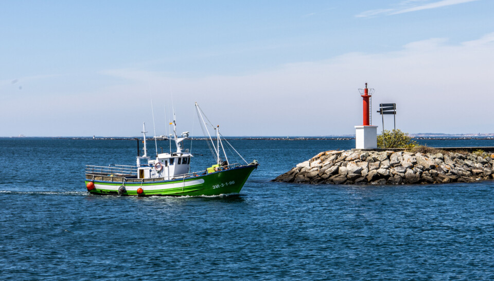 En fiskebåt er på vei inn til fiskemottaket i Cabados Galicia.