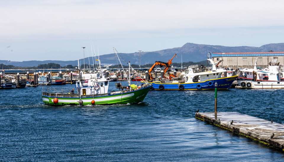 En fiskebåt er på vei inn til fiskemottaket i Cambados.