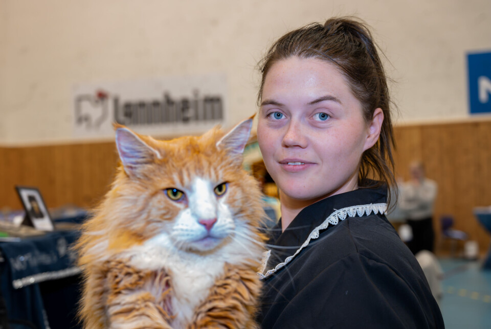 Eirin Landre viser stolt fram katten sin Kåre, som er helt Supreme.