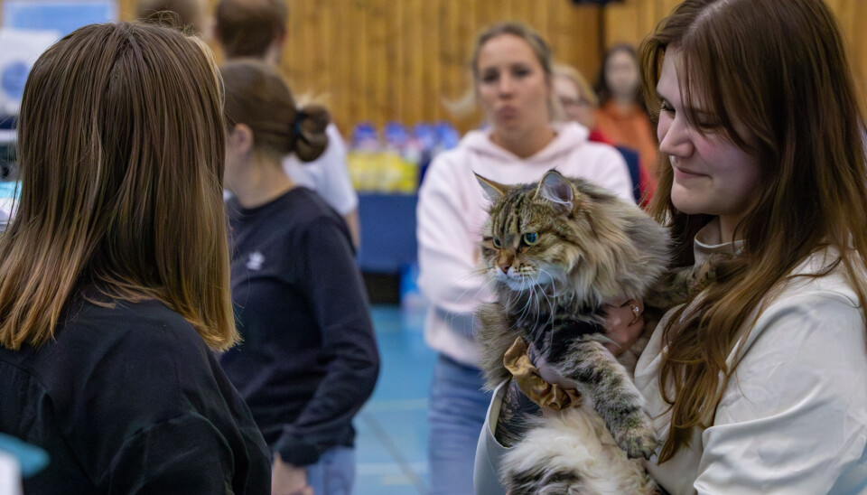 Camilla viser fram katten sin.
