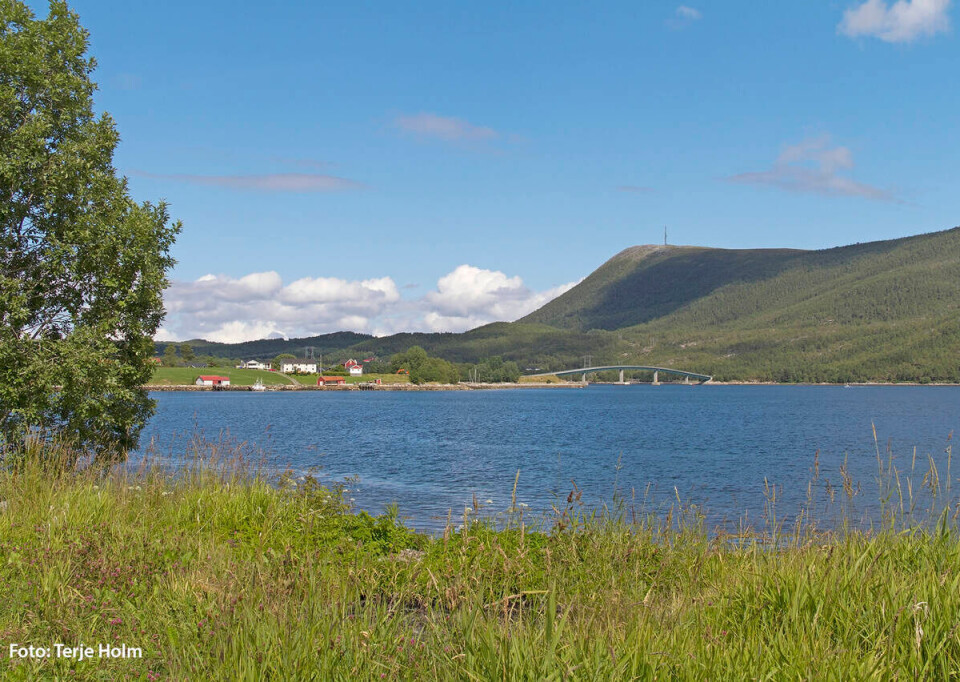 Dromnessundet fra Vihals. Foto: Terje Holm. (Gjengitt med tillatelse)