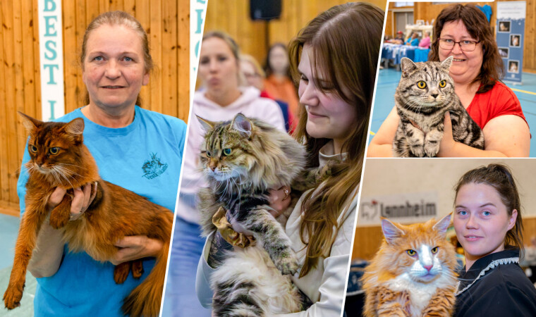 Kattekvinner på katteutstilling: T.v.:
Evy Hoel. Midten: Camilla viser fram katten sin. Øverst t.h. Anita Vasskog Grøtan fra Brekstad var også på utstillingen. Nederst t.v.: Eirin Landre viser stolt fram katten sin Kåre, som er helt Supreme. ALLE FOTO: VEGARD GRIMSTAD