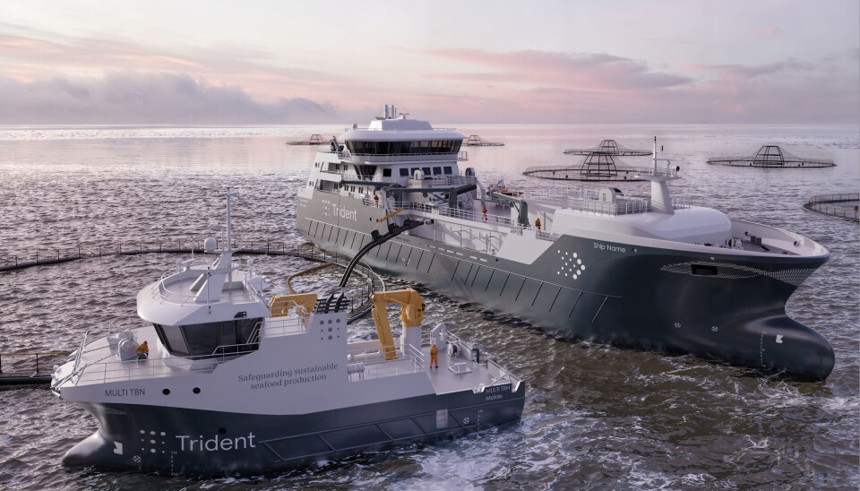 Trident trapper opp: to nye hybridfartøy på vei – Nordmøre med sentral rolle