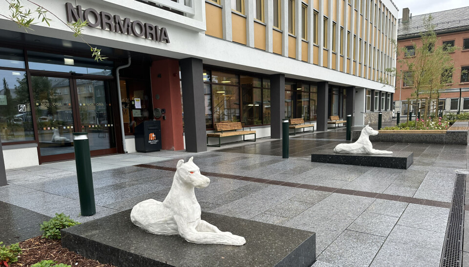Inngangen til biblioteket i det nye Normoria bygget, med de hvite hundene som voktere.