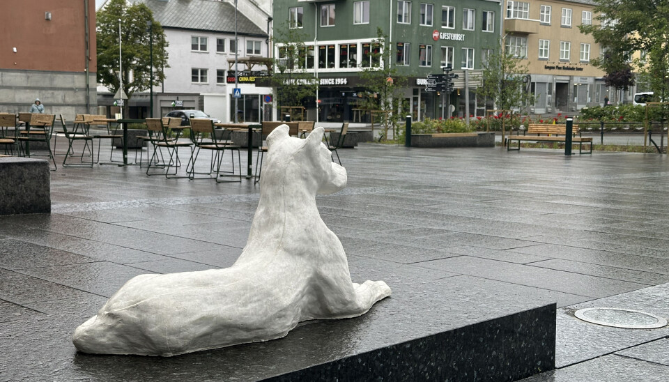 De hvite hundene vokter over Kongens plass.