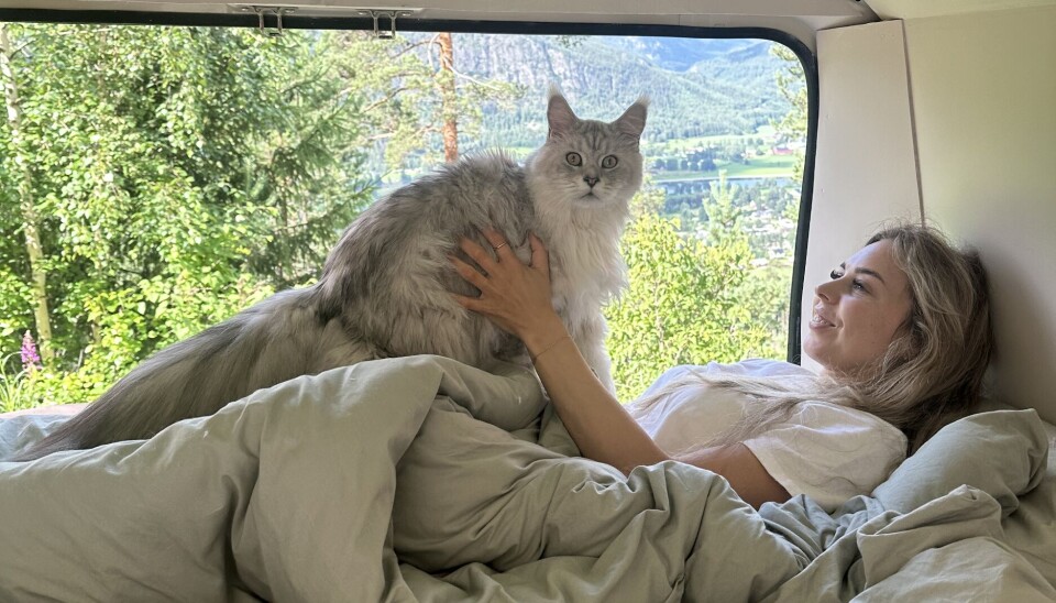 Amalie og katten Lynx,